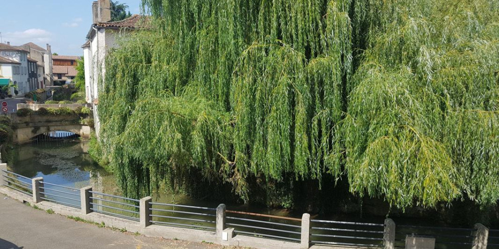 appartement à AIRE SUR L ADOUR (40800)
